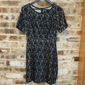 ABS Lace Dress